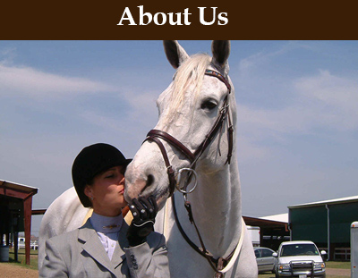 Houston Horse Boarding Stables