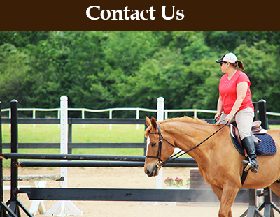  Horse riding board stables